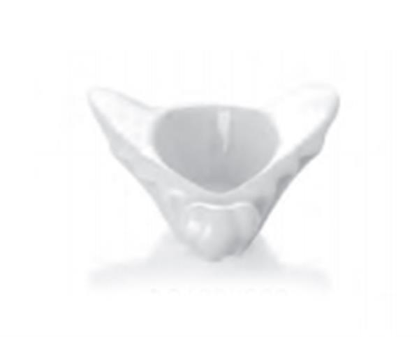 Delta Bal Kase Dekorsuz 10 cm