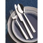 Camwear Saklama Kabı Kapağı