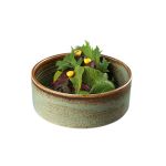 Bonna Coral Joker Kase 8 cm