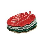 Yaprak Model Melamin Teşhir Tabak / Küçük