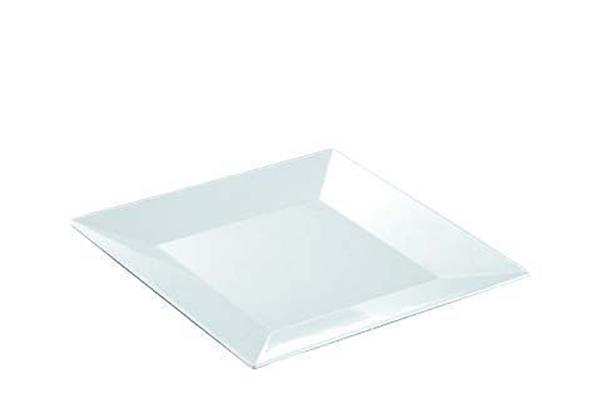 Açık Büfe Soğuk Meze Sunum Tepsi 41x41 cm