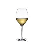 66200 Vinifera Çok Amaçlı Kadeh