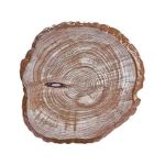 Ahşap Yüzeyli Yuvarlak Pano