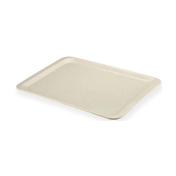 Parlak Yüzeyli Polyester Tepsi 53x37 cm