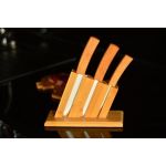 Vallon 4 Parça Standlı Bıçak Seti