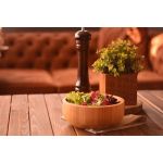 Bahama Salata Kasesi Büyük