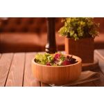 Bahama Salata Kasesi Büyük